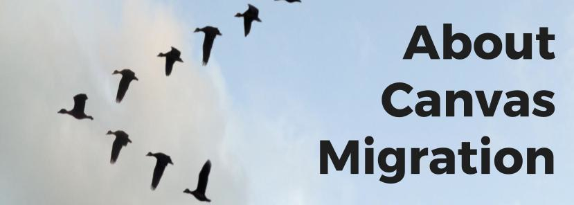 ext says &quot;About Canvas Migration&quot; Photo is of migrating geese flying in a V formation